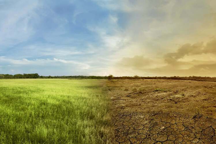 Auswirkungen Klimawandel, intakte und verwüstete Ackerlandschaft; Source: Adobe Stock (https://stock.adobe.com/de/images/landscape-of-meadow-field-with-the-changing-environment/135264435)